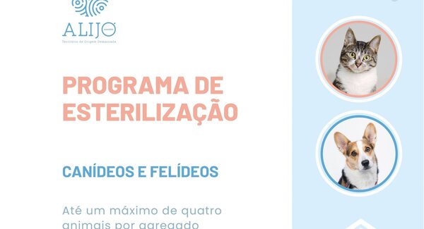 485162912_1076229411204566_5984415227613310137_n