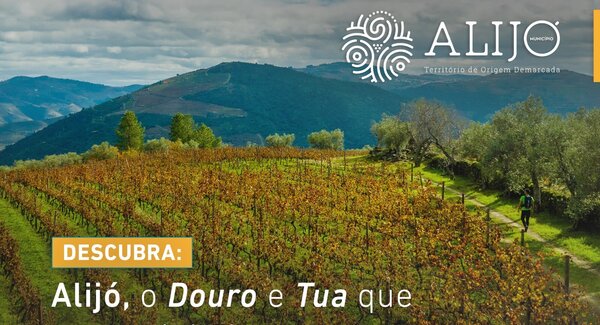 532330414_1170041375159253_6853680715839812272_n