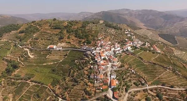 307534791_470952655075940_7572282581813466925_n