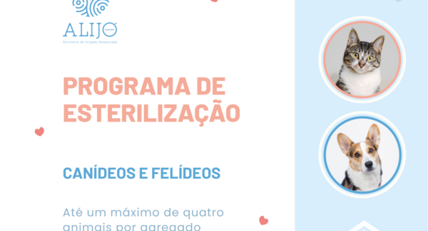 cartaz_esterilizacao_2024_02