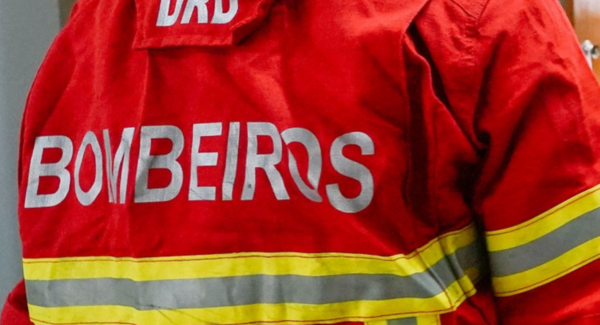 reza_a_lenda_que_as_raizes_da_arvore_grande