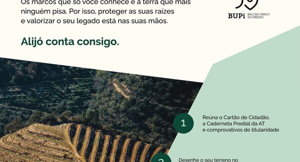 453212979_899303832230459_7735029776200152489_n