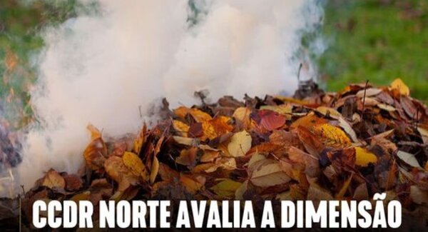 460608413_914934570671911_4161732667292594446_n