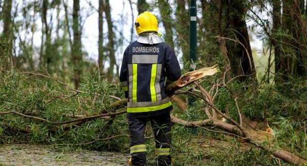 thumb__664_479_0_0_crop