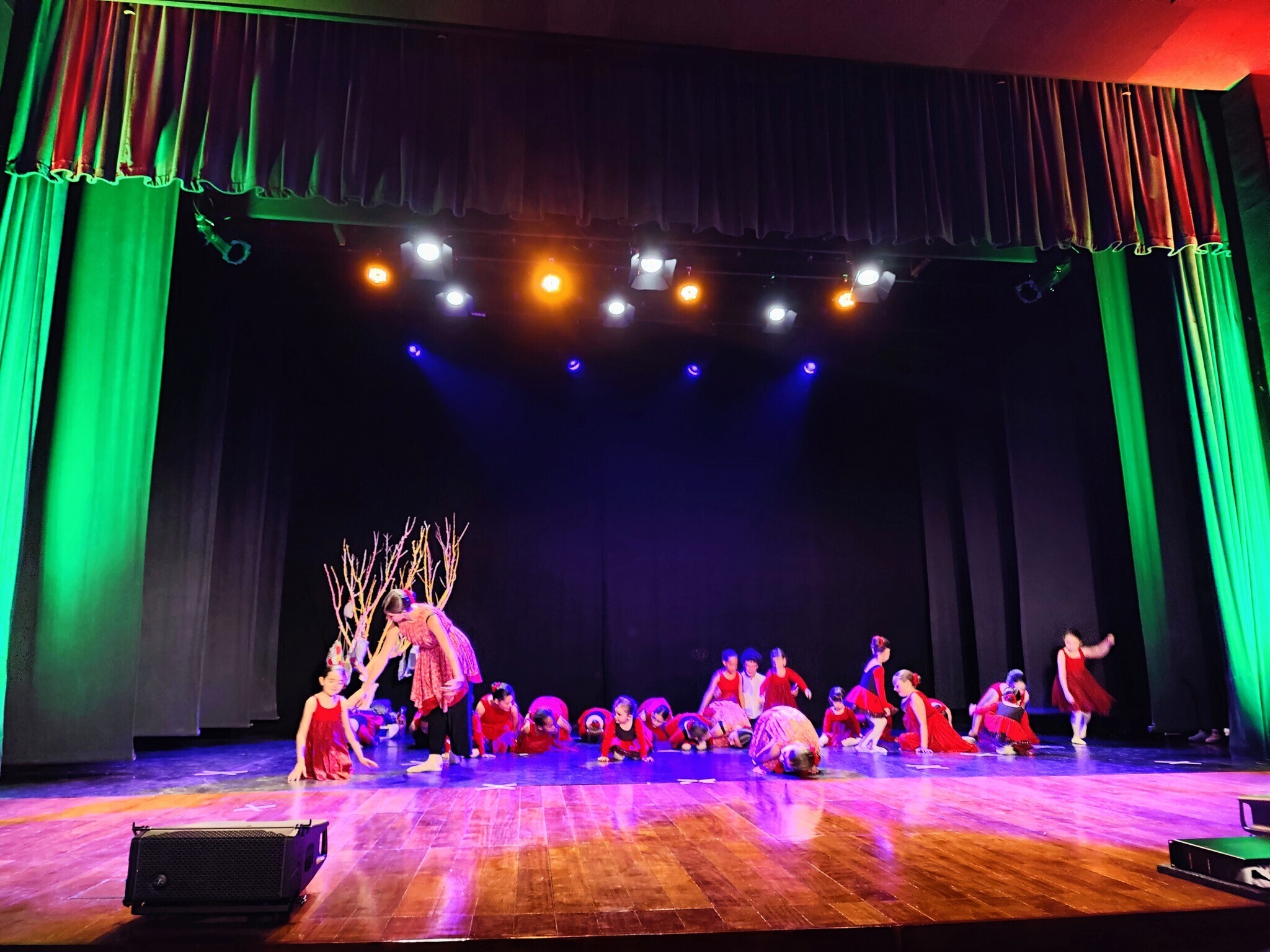 Espetáculo 'Não voltaremos atrás' da Universidade Sénior Alijó