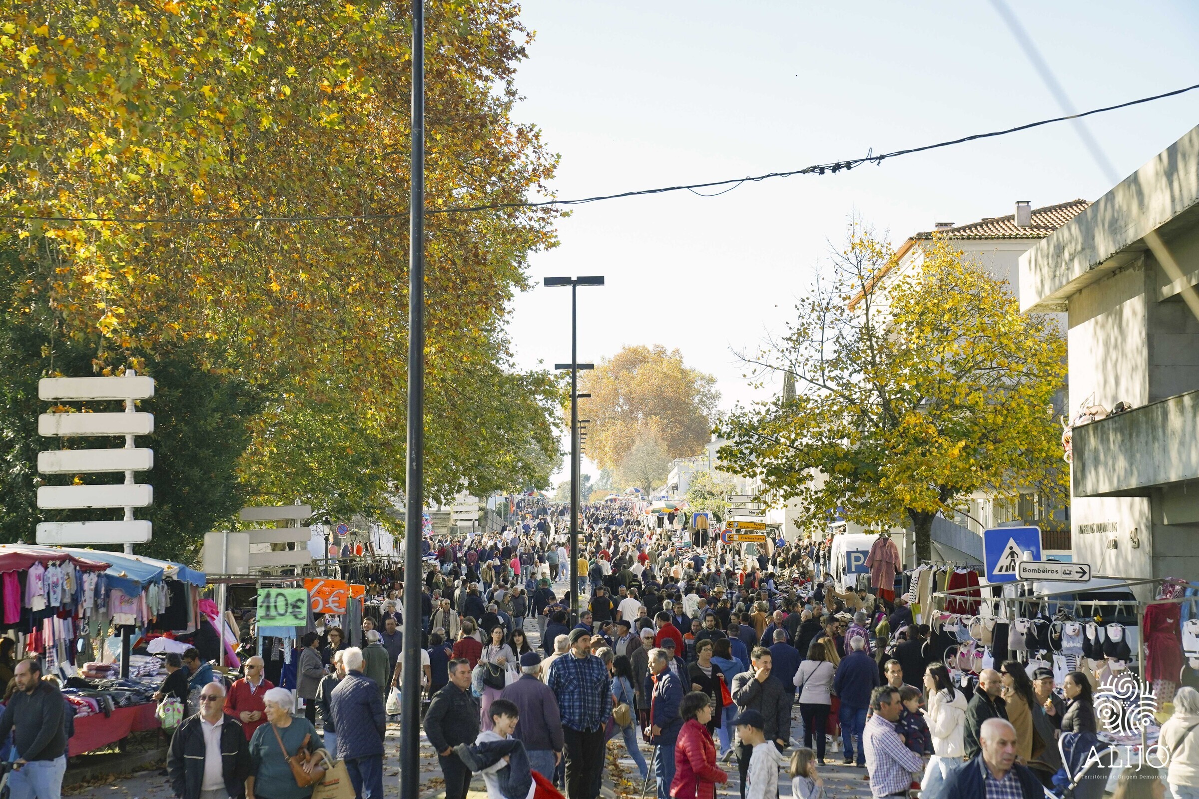 Centro de Alijó encheu-se de gente para celebrar o Dia do Município e o São Martinho