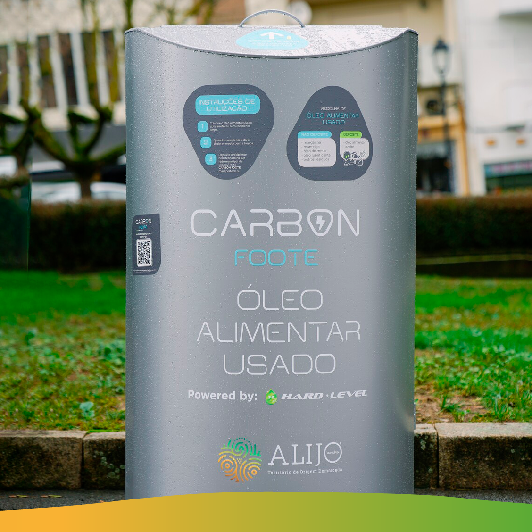 Recicle o óleo alimentar utilizado nos fritos típicos da época natalícia