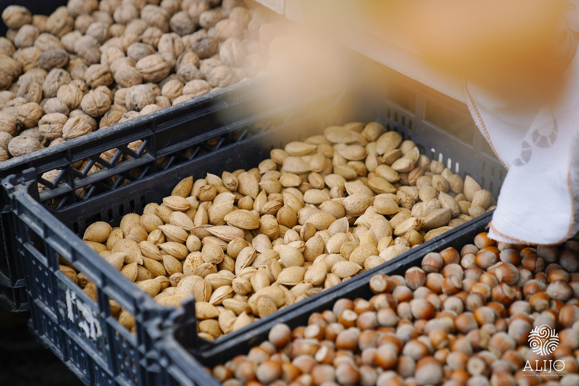 7ª edição da Feira da Amêndoa em Pegarinhos