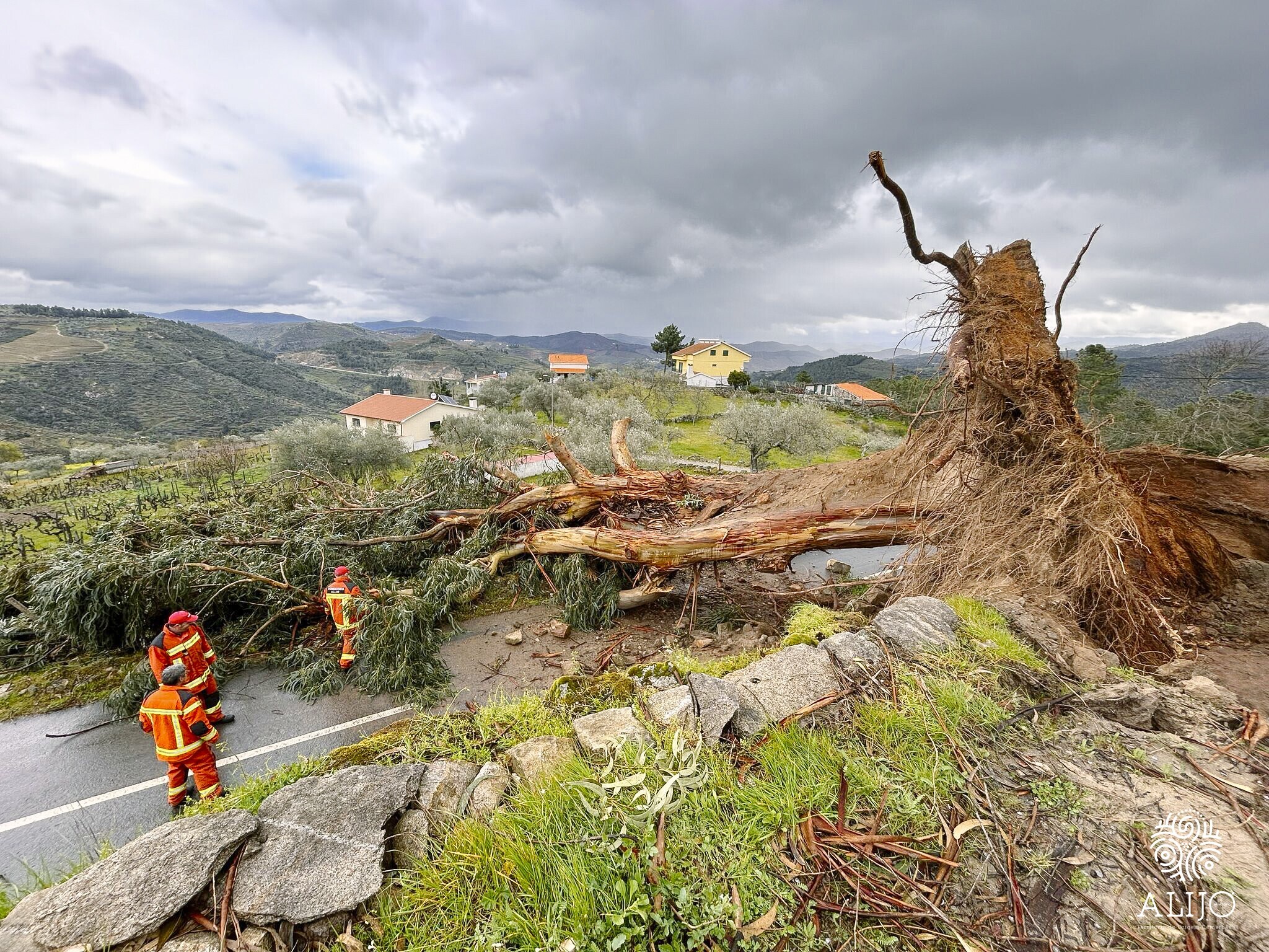 Aviso: Estrada municipal que liga Amieiro ao Franzilhal está cortada