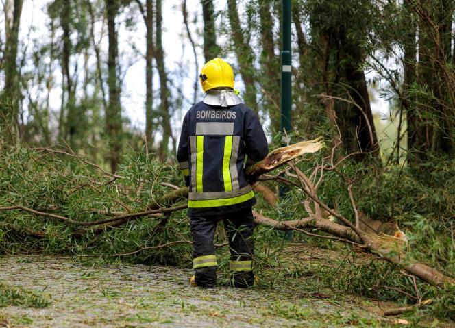 Aviso: Agricultores da região Norte já podem declarar prejuízos causados pela tempestade Martinho