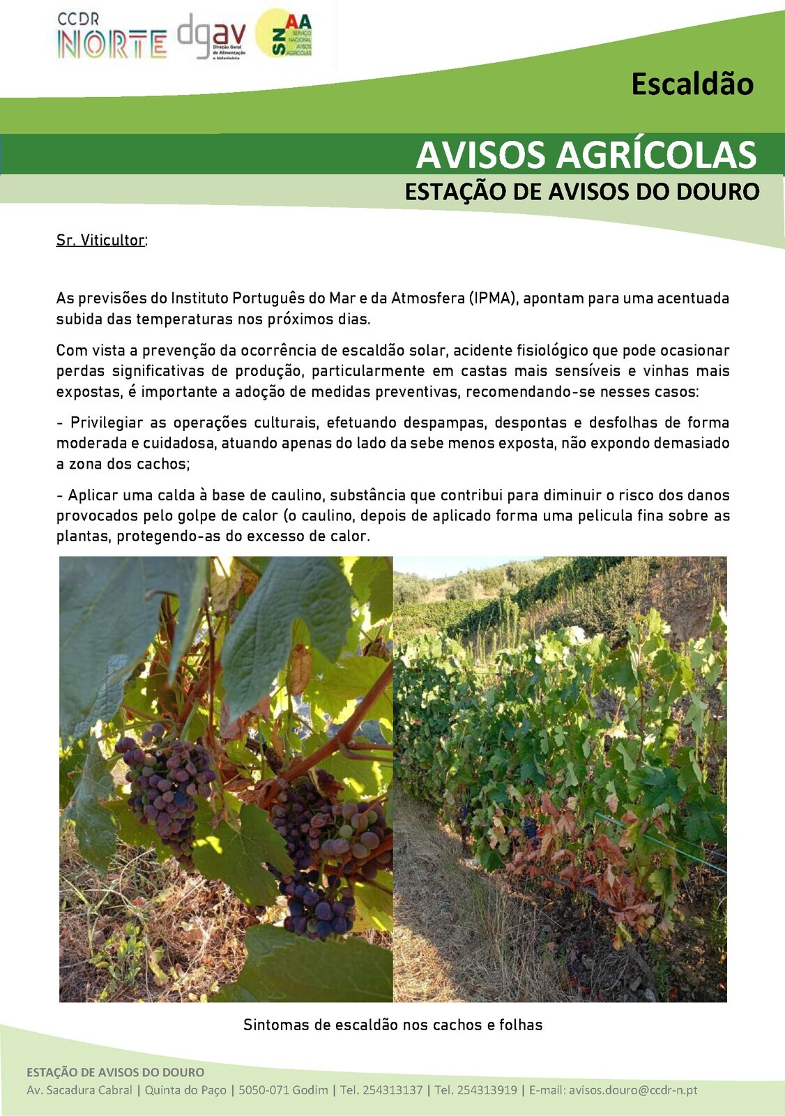 Aviso Agrícola: Escaldão - Subida acentuada de temperaturas