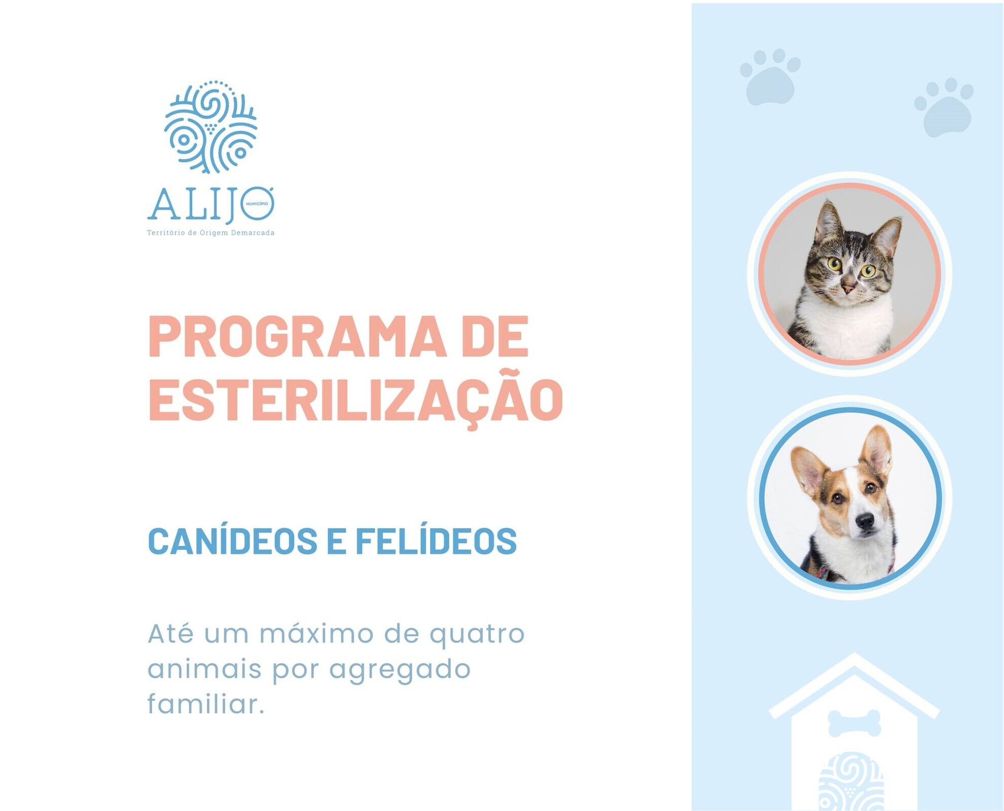 Abertas candidaturas a apoios à esterilização de animais de companhia