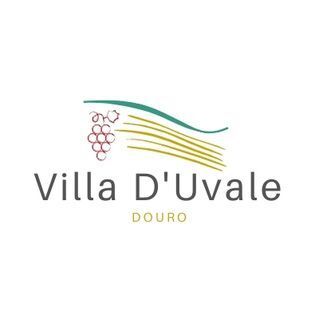 Villa D'Uvale Douro