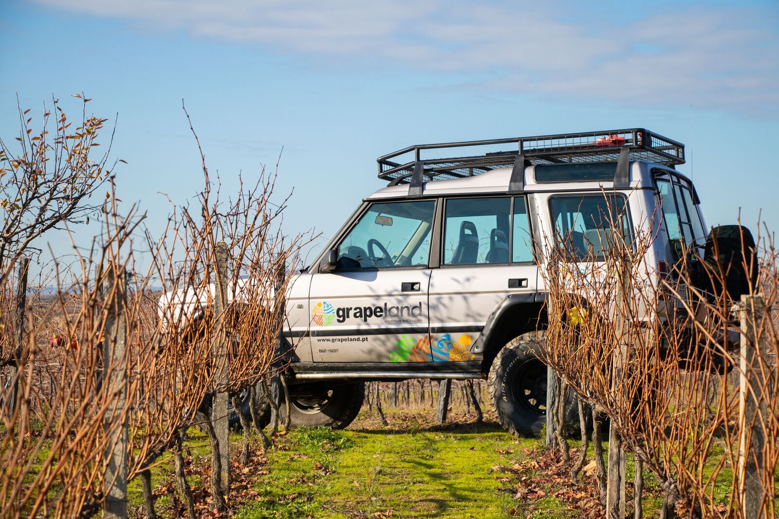 Grapeland Adventure and Tourism