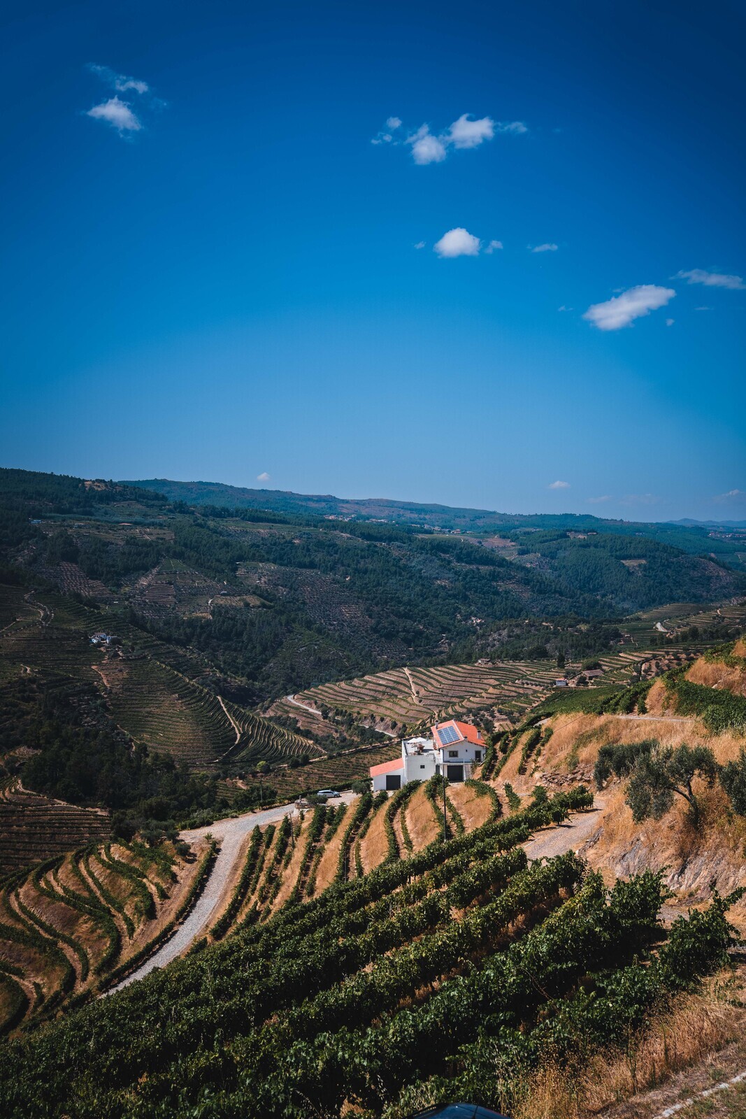 Quinta da Pedra Alta | Enoturismo