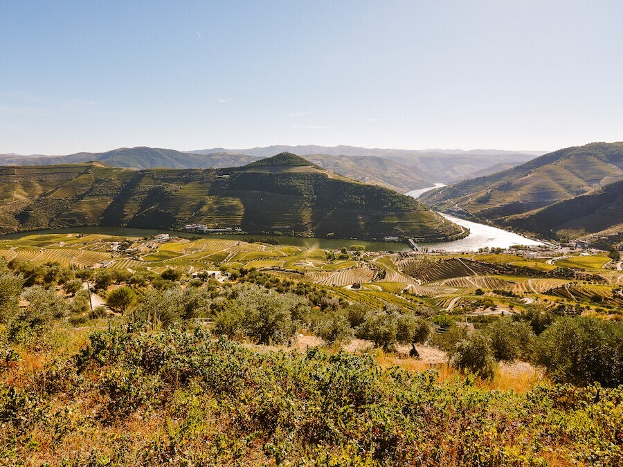 2YOU Douro Experience