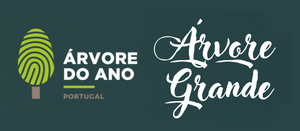 Arvore Grande