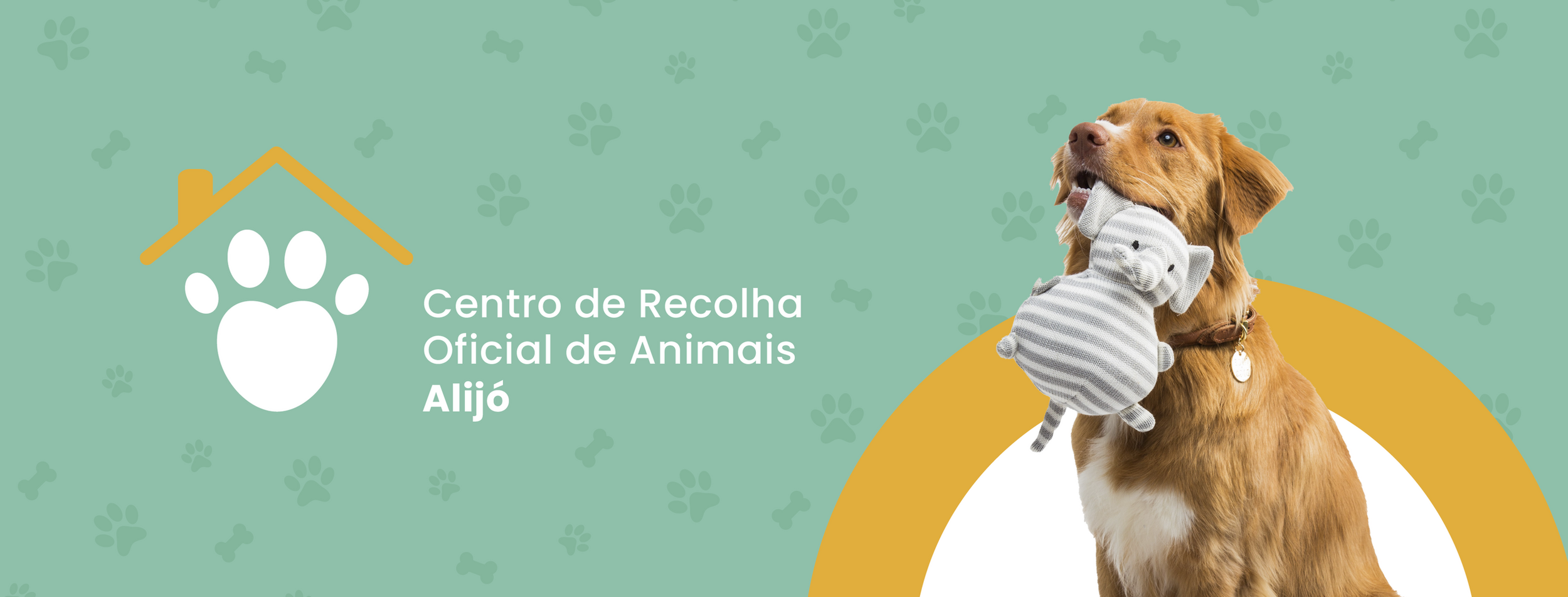 420079863_122106333266190931_2050778313099852898_n